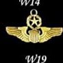 W19 Army Wings