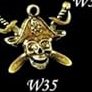W35 Pirate