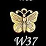 W37 Butterfly